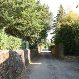 Zwemrivier Cèze en dorpje Saint-Denis