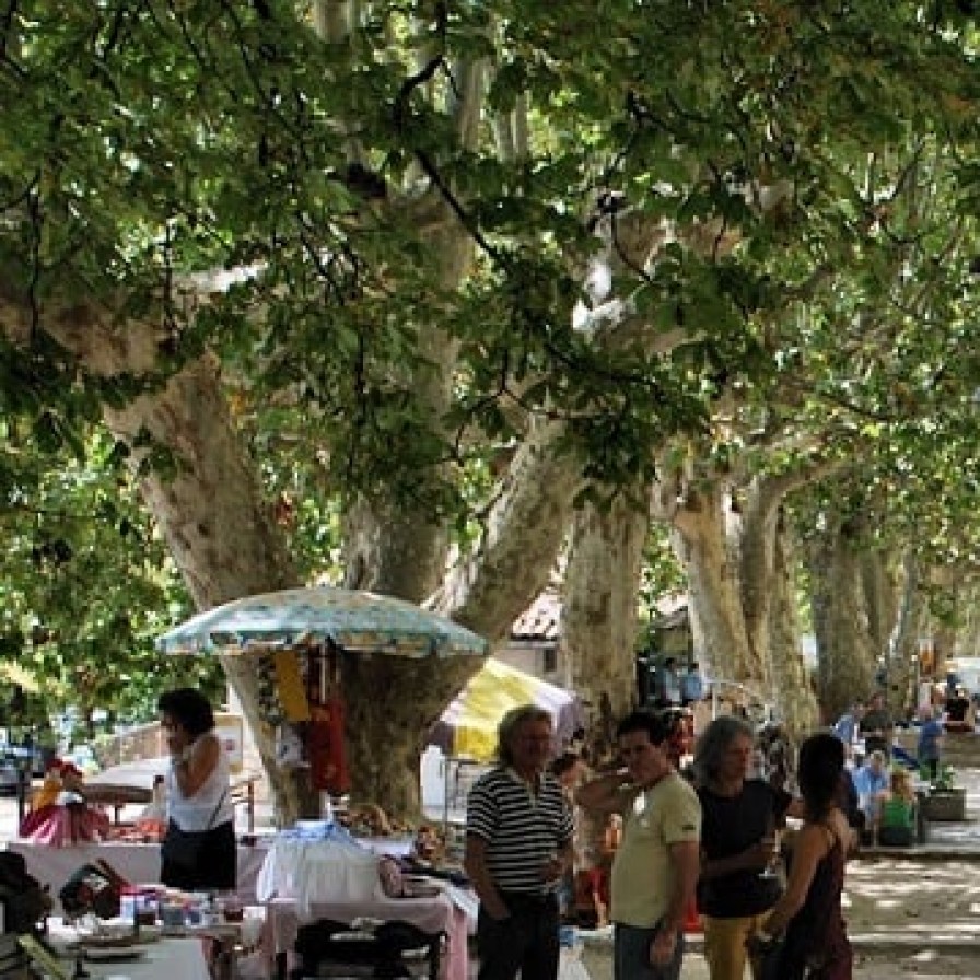 elke vrijdagochtend markt